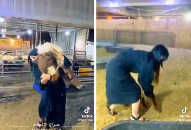شابة سعودية حسناء ترعب الجميع بعمل صادم يخيف حتى أقوى الرجال .. شاهد ما فعلته