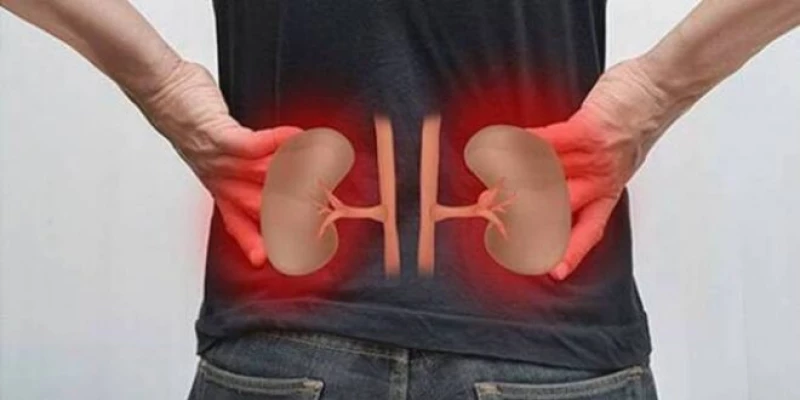 هذه العشبة المهملة تعمل على تنظيف سموم الكلى والكبد والجسم في دقائق معدودة.. تعرف عليها الان