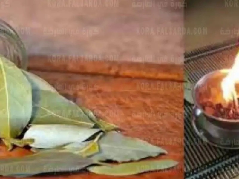 كنز في بيتك وانت متعرفش.. معجزة في حرق ورق الغار في المنزل كل يوم ستذهلك ولن تتخلى عنه ابدا