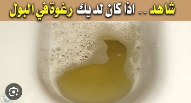 ظهور رغوة البول إشارة لمرض خطير يهدد الحياة.. انتبه قبل فوات الأوان واكتشف طرق العلاج