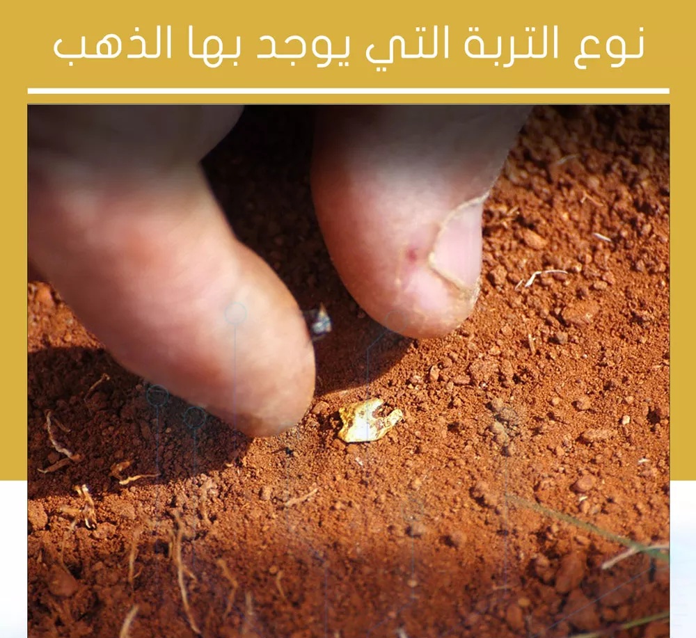 5 علامات سهلة تدل على وجود الذهب والكنوز المدفونة في الأرض إذا رأيت علامة منها لا تتركها