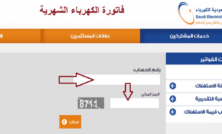 كيفية الاستعلام عن فاتورة الكهرباء في السعودية لجميع الطرق الدفع.. خطوات سهلة وبسيطة