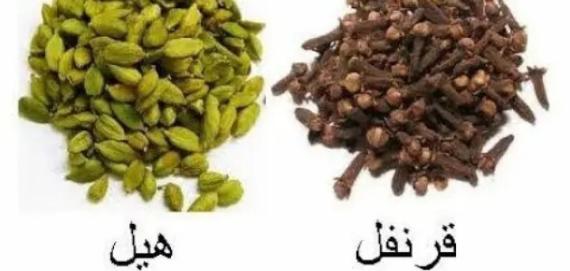 القرنفل مع الهيل خلطة سحرية تبحث عنها جميع البنات والنساء لتلبية رغباتهن الأنثوية (اليكم طريقة التحضير)