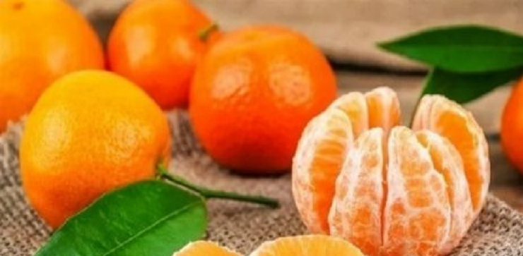 خبيرة تغذية شهيرة تحذر من خطورة الإكثار من تناول فاكهة اليوسفي.. وتكشف عن الكمية المسموح بتناولها في اليوم!!