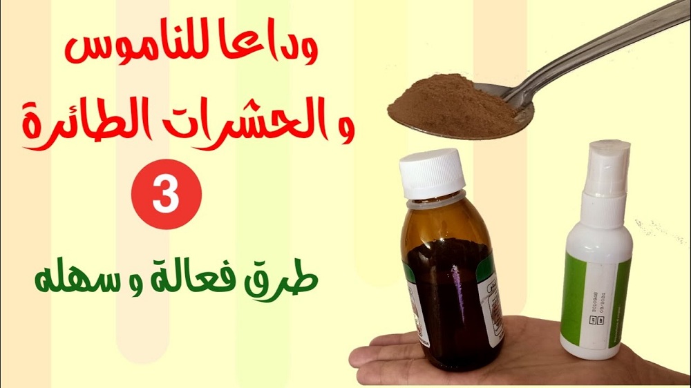 وداعاً للناموس بعد اليوم.. وصفات سحريه للتخلص من الناموس من داخل المنزل نهائياً