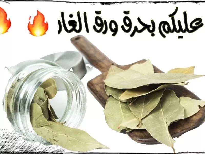 هتغير حياتك.. معجزة حرق ورق الغار في المنزل فوائده كل يوم ستذهلك ولن تتخلى عنه بعد اليوم!