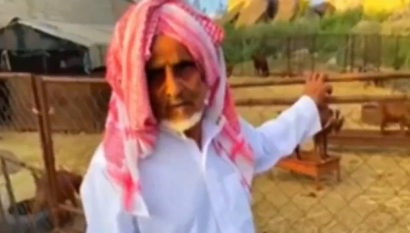 أفسدت علينا الحرث والنسل شاهد مواطنون يكشفون عن معاناتهم من قرود البابون (فيديو)