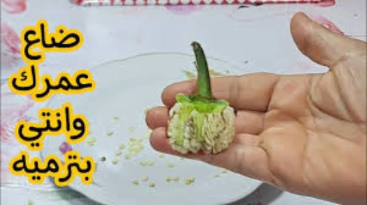 معجزة ربانية بذور الفلفل الاخضر كنز رهيب في بيتك اوعي ترميها تاني.. طلعت اهم من الفلفل نفسه؟!